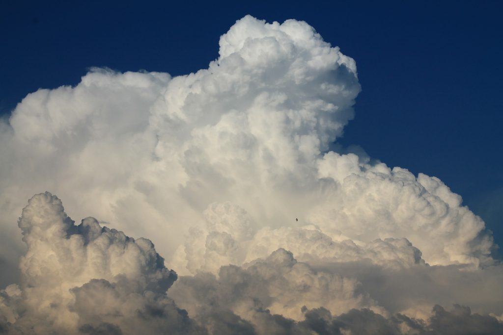 Let chaos reign and it will: why you need a tight grip on multi-cloud