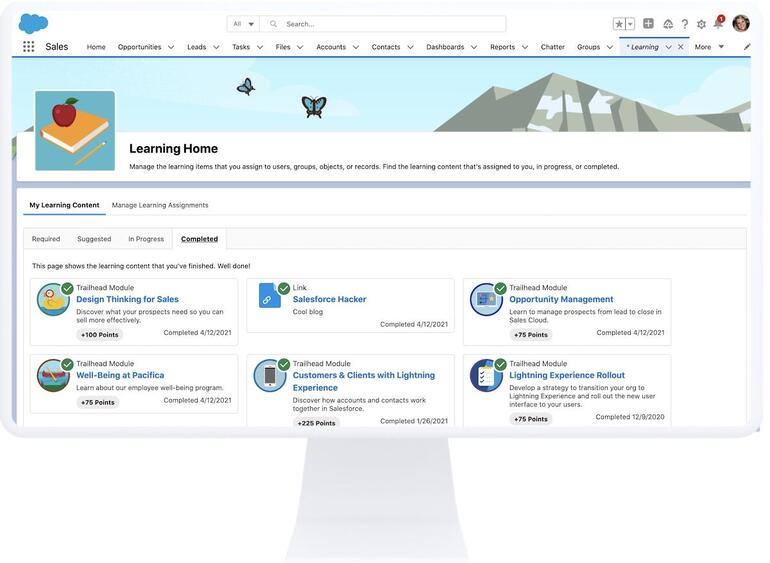 Salesforce Learning Paths home screen
