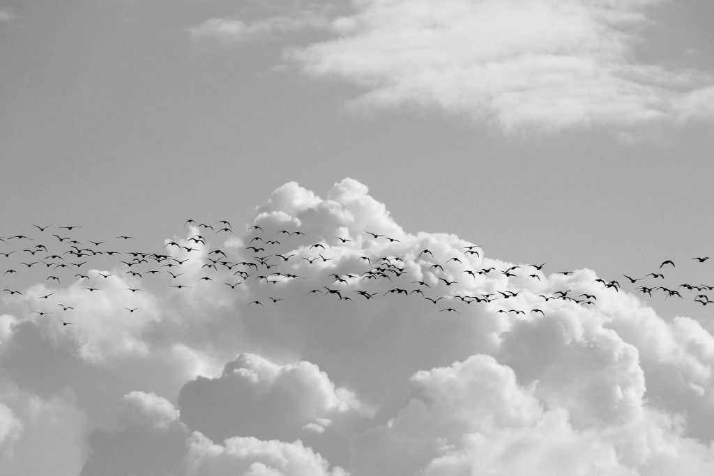 Top Tips for Preparing for Any Cloud Migration