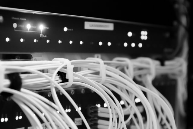 The case for a data culture and user adoption The case for a data culture and user adoption