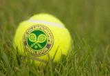 Wimbledon tennis ball