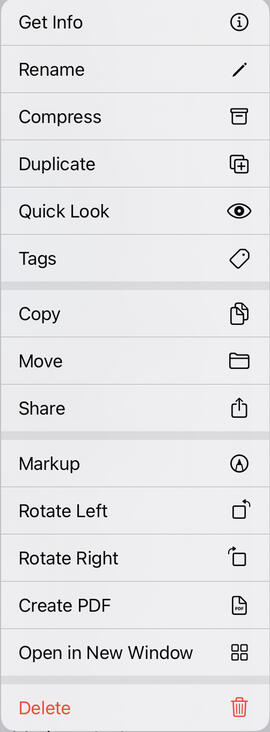 fig-c-files-sub-menu.jpg
