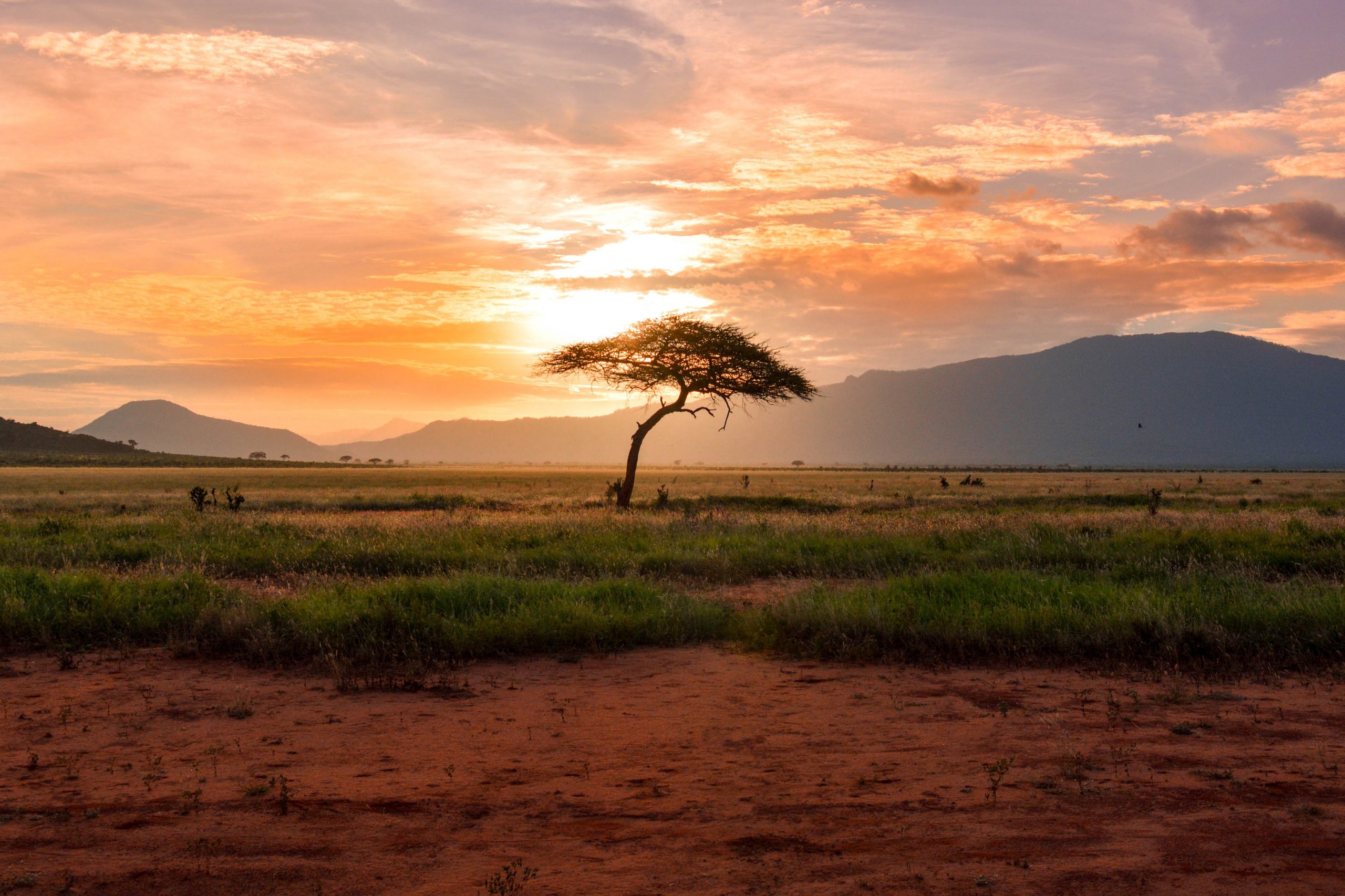 West Africa
